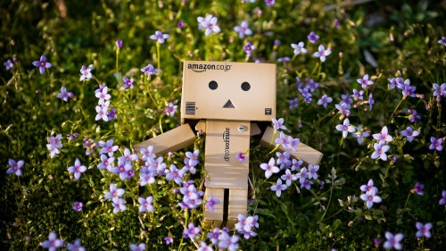 Image brown cardboard box on purple flowers