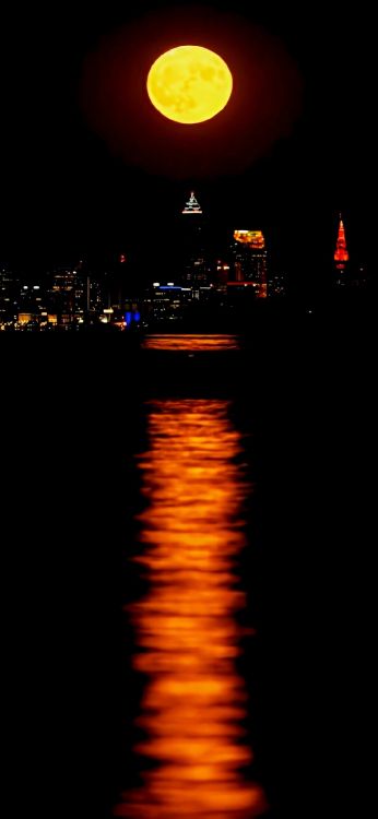 Nuit, Eau, Les Ressources en Eau, Liquid, Lumière. Wallpaper in 1080x2340 Resolution