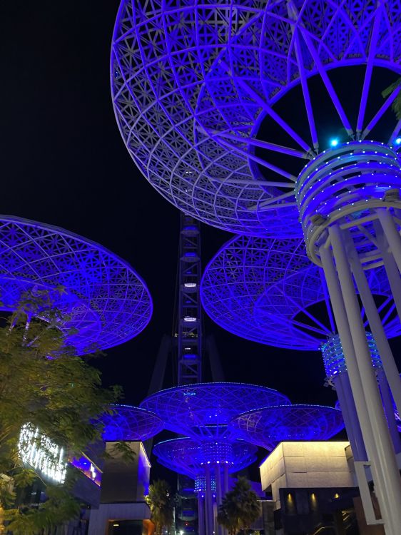 Singapur, Wahrzeichen, Majorelle-blau, Riesenrad, Licht. Wallpaper in 1536x2048 Resolution