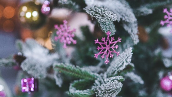 Image new year, Christmas Day, holiday, frost, pink