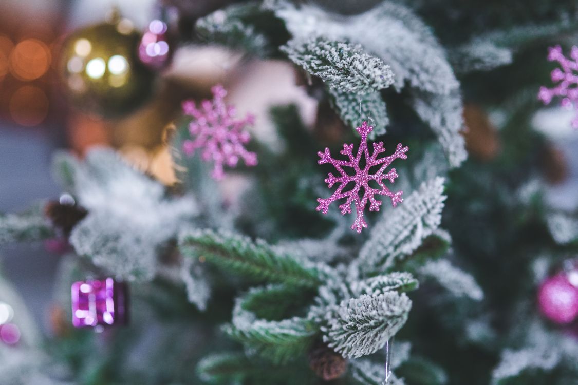 New Year, Christmas Day, Holiday, Frost, Pink. Wallpaper in 5472x3648 Resolution