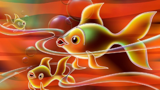 Goldfish HD wallpapers | Pxfuel