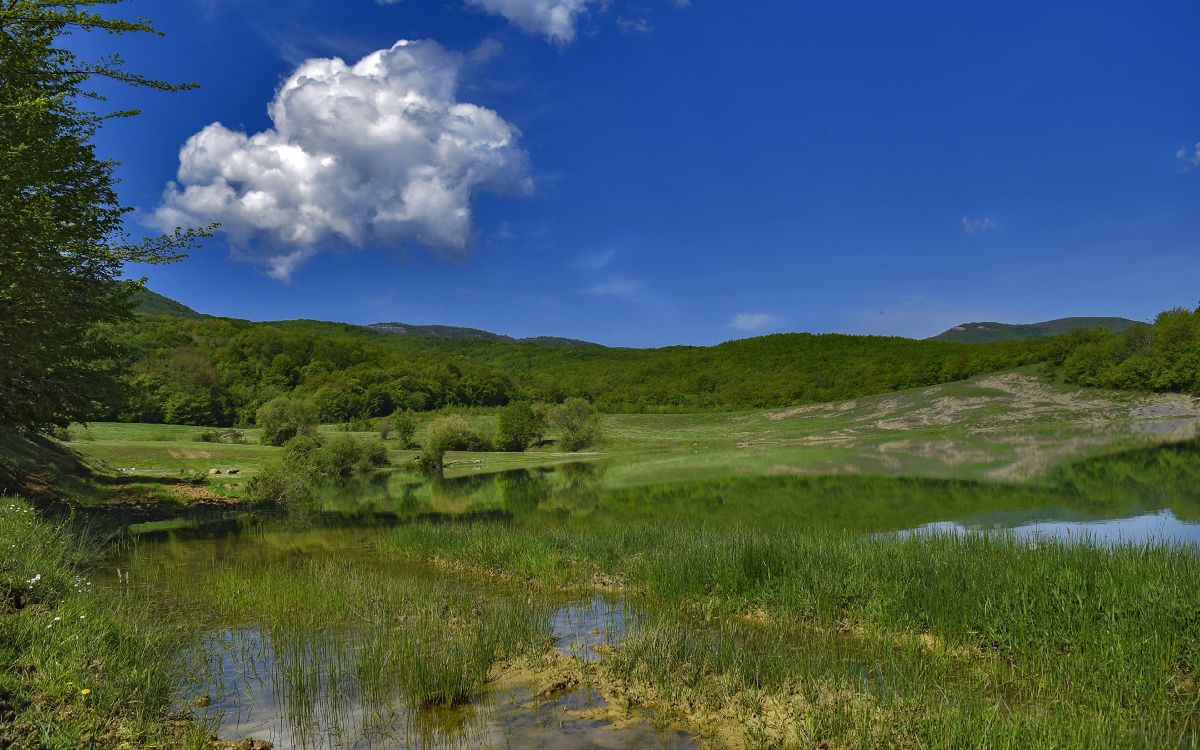 Tagsüber Grüne Wiese Unter Blauem Himmel. Wallpaper in 3840x2400 Resolution