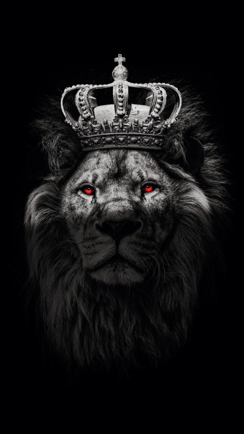 Free download Lion With Crown Wallpaper Images amp Pictures Becuo  1600x1200 for your Desktop Mobile  Tablet  Explore 74 Lion Of Judah  Wallpapers  Wallpaper Of White Lion Lion Of Judah