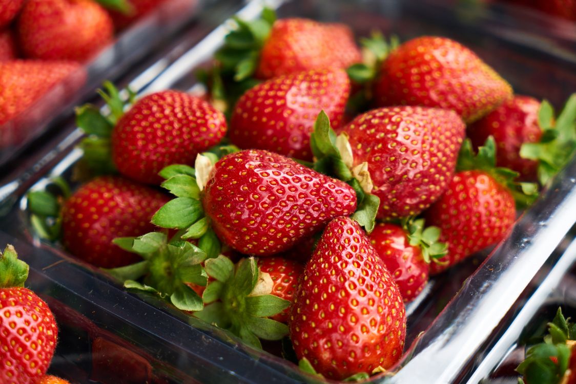 Strawberries on Stainless Steel Tray. Wallpaper in 7490x4996 Resolution
