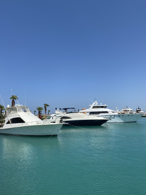 Image marina, water transportation, ferry, water, sea