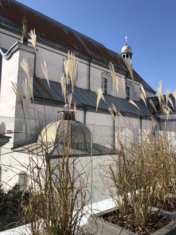 Techo, Inmueble, Finial, Planta Perenne, Edificio Catalogado. Wallpaper in 1536x2048 Resolution