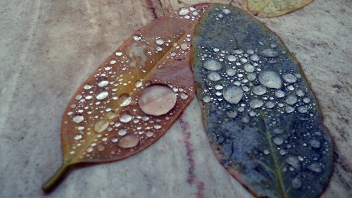 Image water droplets on brown wooden surface