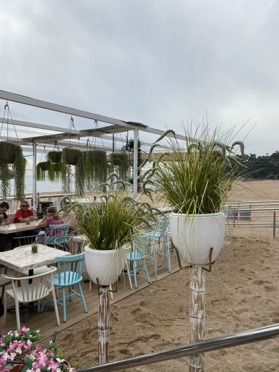 Biologie, Sciences, Mobilier, Table, Flowerpot. Wallpaper in 1536x2048 Resolution