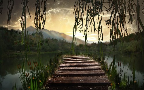 Image brown wooden dock on lake during daytime