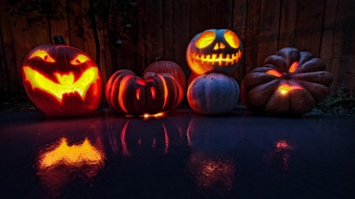 Image calabaza, Pumpkin, lighting, winter squash, night