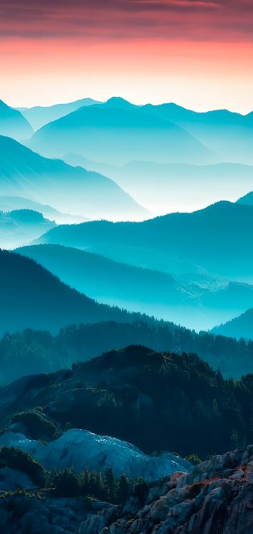 Cumbre, El Bazar de Harper, Weibo, 1886, Neblina. Wallpaper in 1422x3000 Resolution