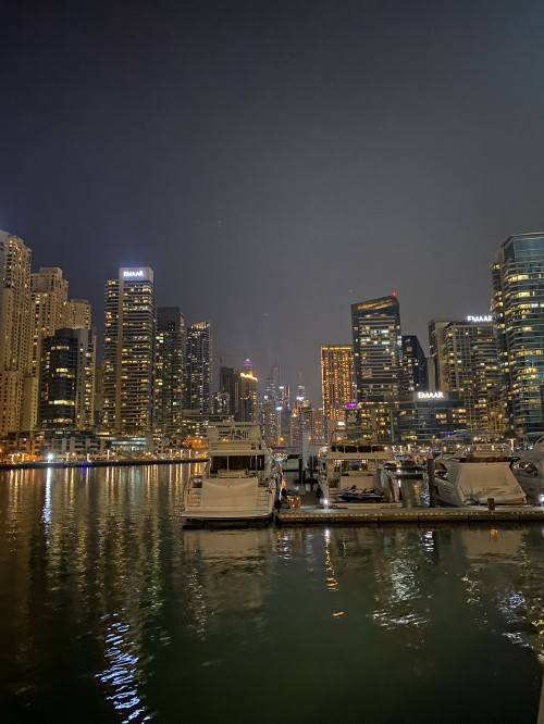 Image dubai, Dubai Marina, cityscape, night, tower block