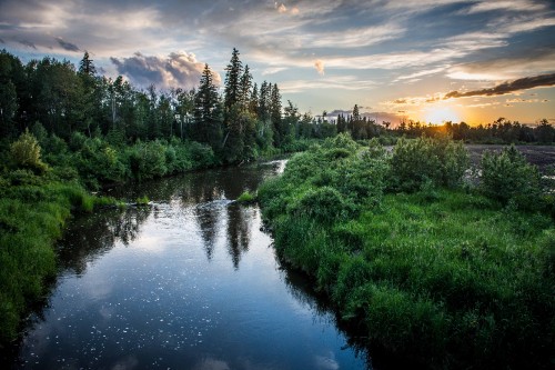 Image green trees beside river under cloudy sky during daytime