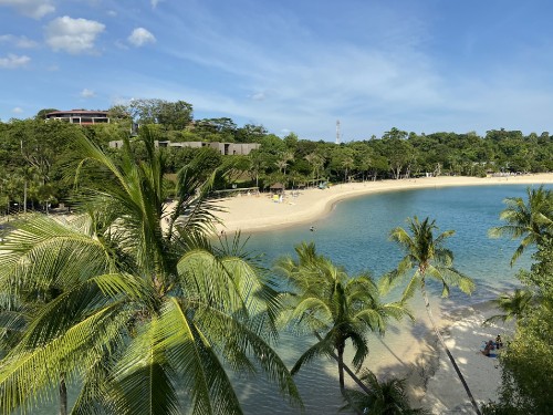 Image vegetation, palm trees, water, tourism, body of water