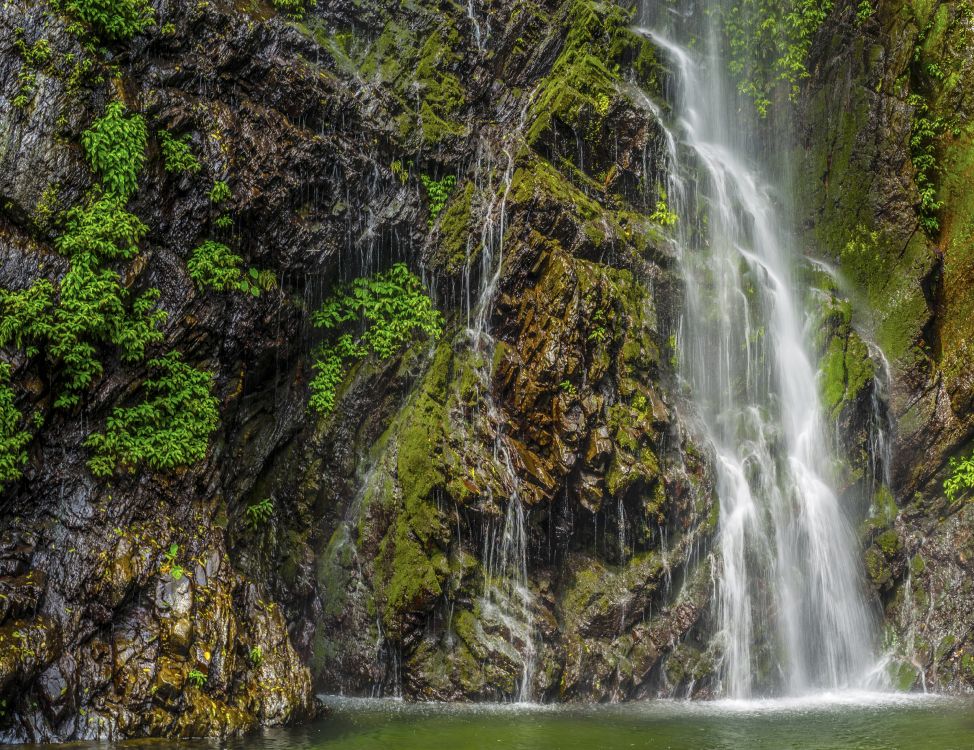 Cascades au Milieu de la Forêt. Wallpaper in 3000x2308 Resolution
