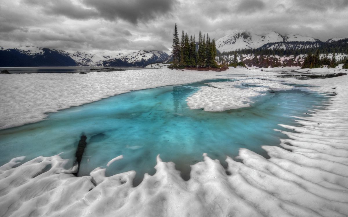 green trees on snow covered ground near body of water during daytime