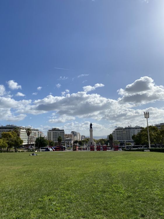 草, 土地很多, 街区, 普通的, 公共空间 壁纸 1536x2048 允许