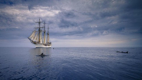 Image black and white sail boat on sea under white clouds and blue sky during daytime