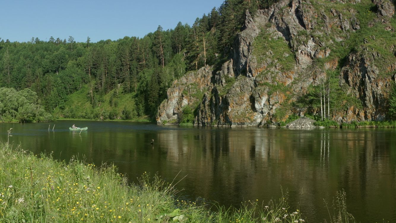 green grass and trees near lake during daytime