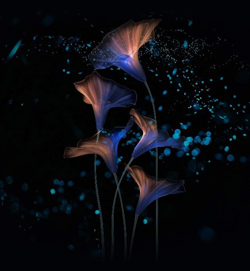 Magical Flower Wallpaper  Download to your mobile from PHONEKY