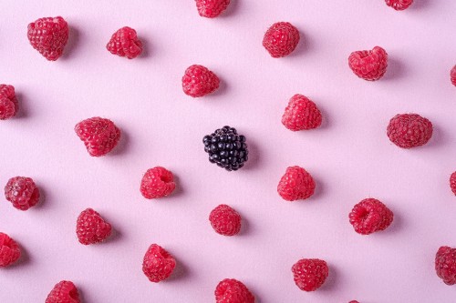 Image black and red berries on white background