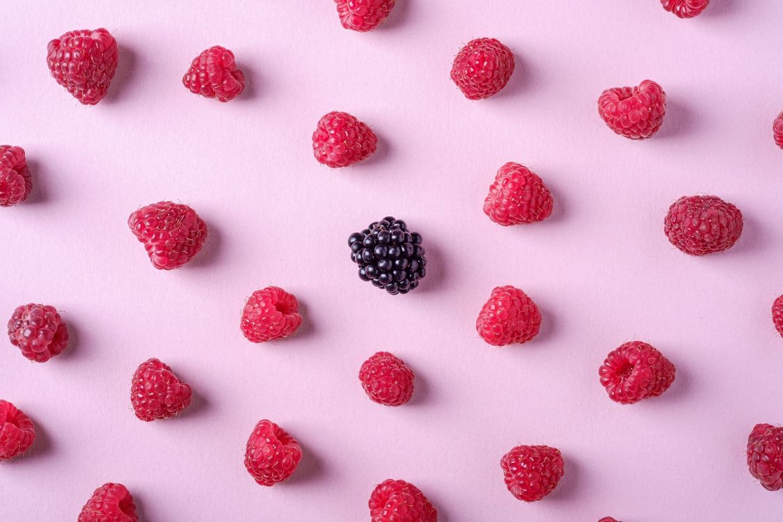 black and red berries on white background