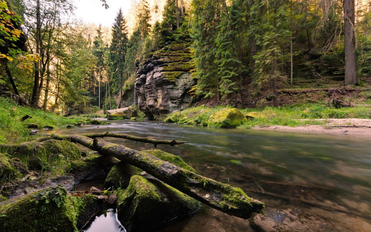 Grünes Moos Auf Brauner Felsformation in Der Nähe Des Flusses Tagsüber. Wallpaper in 2560x1600 Resolution