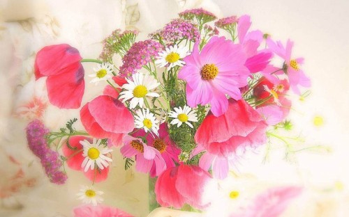 Image pink and white flowers painting