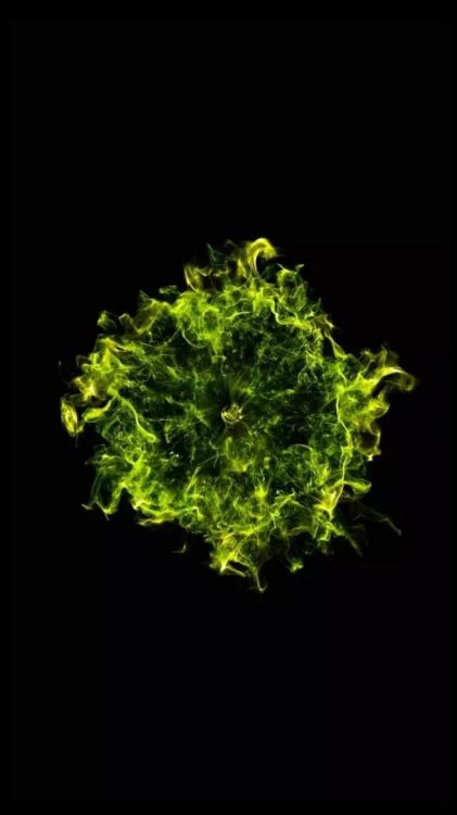 Apple, IOS 10, IPhone, Manzana, Ios. Wallpaper in 1080x1920 Resolution