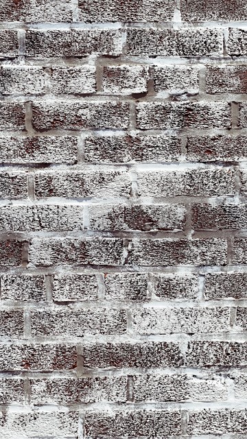 Image mural, brick, carpet, beige, black and white