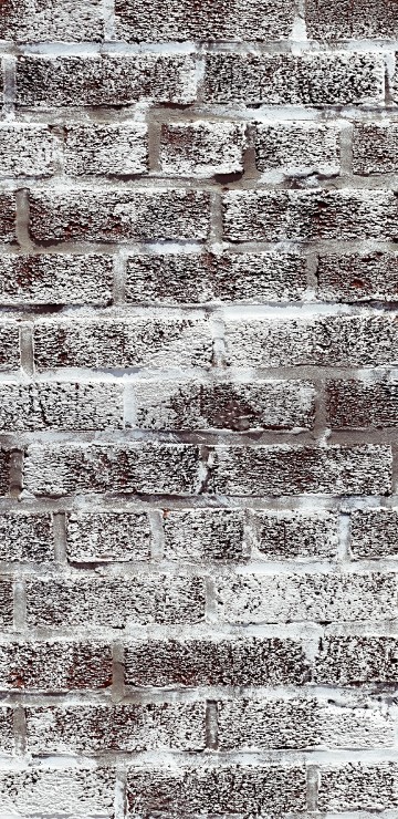 Image mural, brick, carpet, beige, black and white