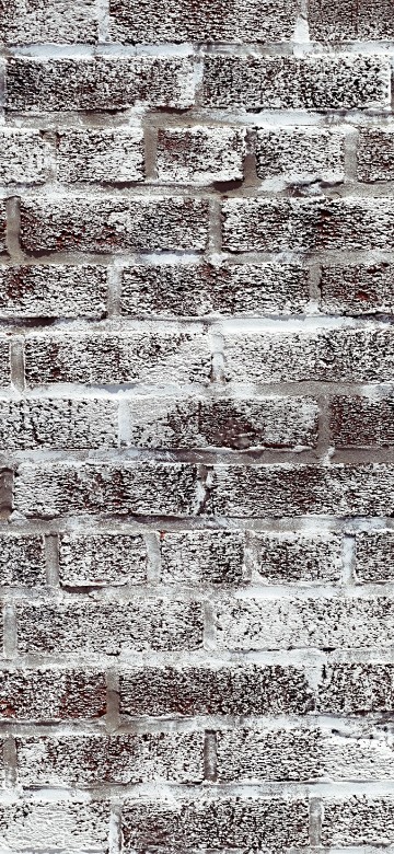 Image mural, brick, carpet, beige, black and white