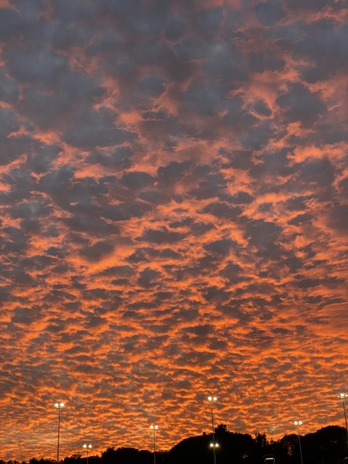 Image cloud, orange, dusk, sunset, red