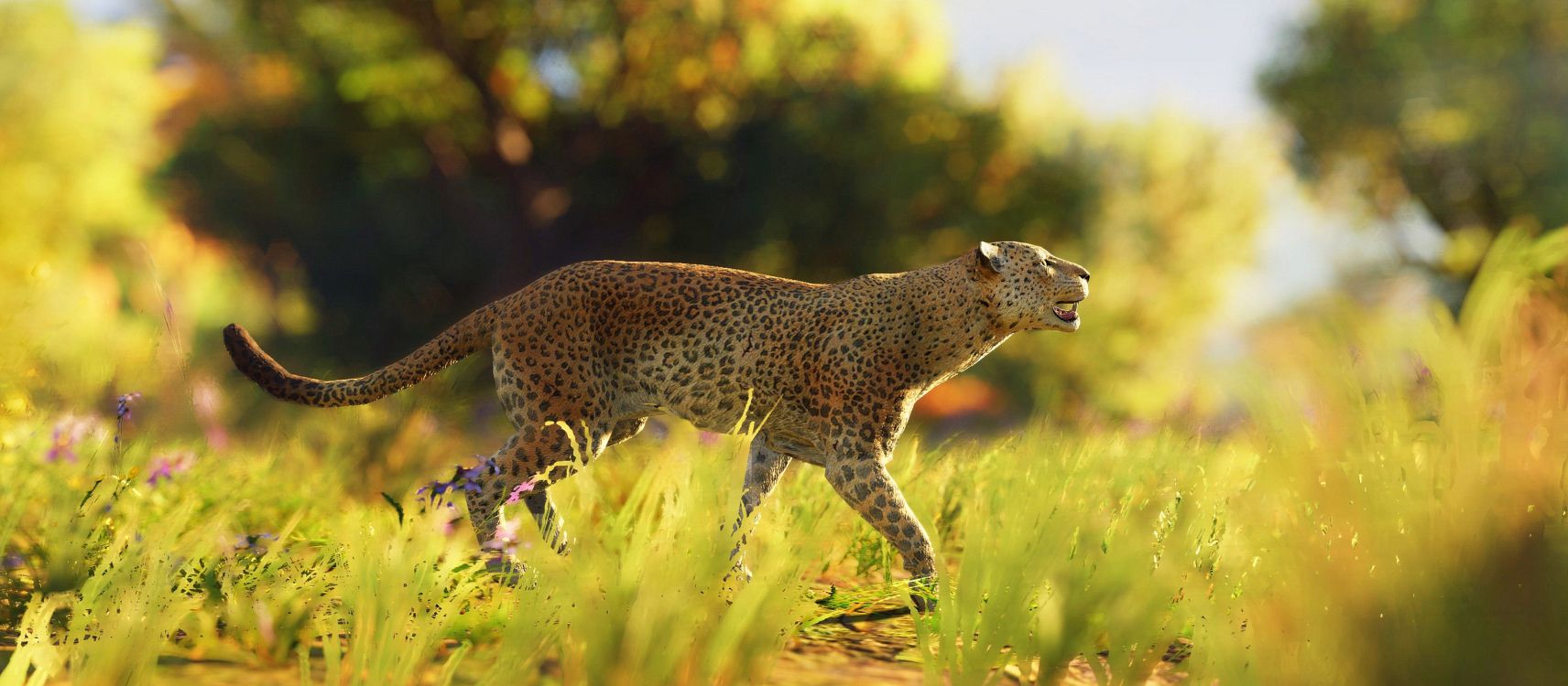 brown and black cheetah walking on green grass during daytime