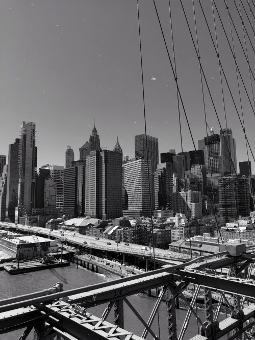 Image grayscale photo of city buildings