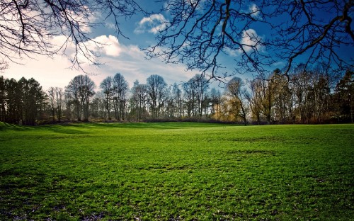 Image green grass field under blue sky during daytime