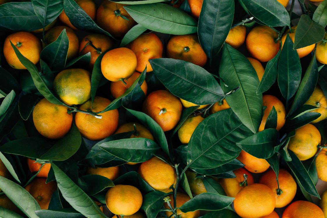 Fondos de Pantalla Frutas Naranjas en Hojas Verdes, Imágenes y Fotos Gratis Fondos de Pantalla Frutas Naranjas en Hojas Verdes, Imágenes y Fotos Gratis