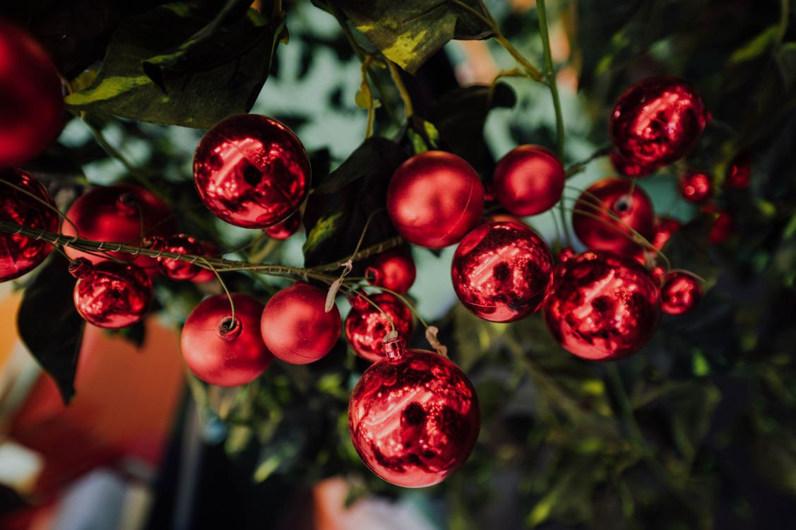 red round fruits in close up photography