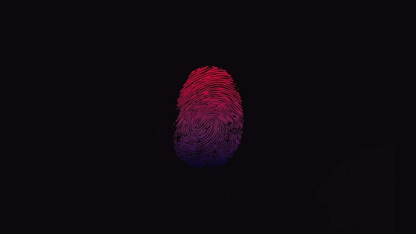 光, 紫罗兰色, 红色的, 紫色的, 粉红色 壁纸 3840x2160 允许