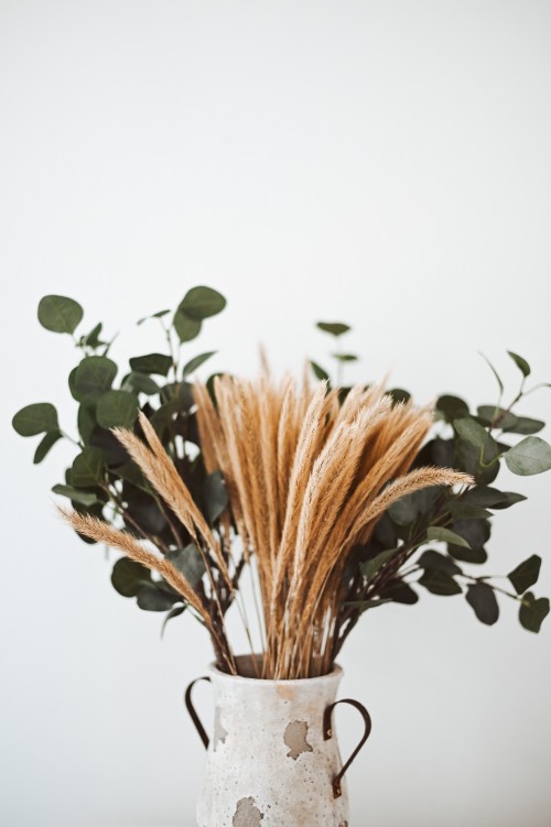 Image brown and green plant on brown wicker pot