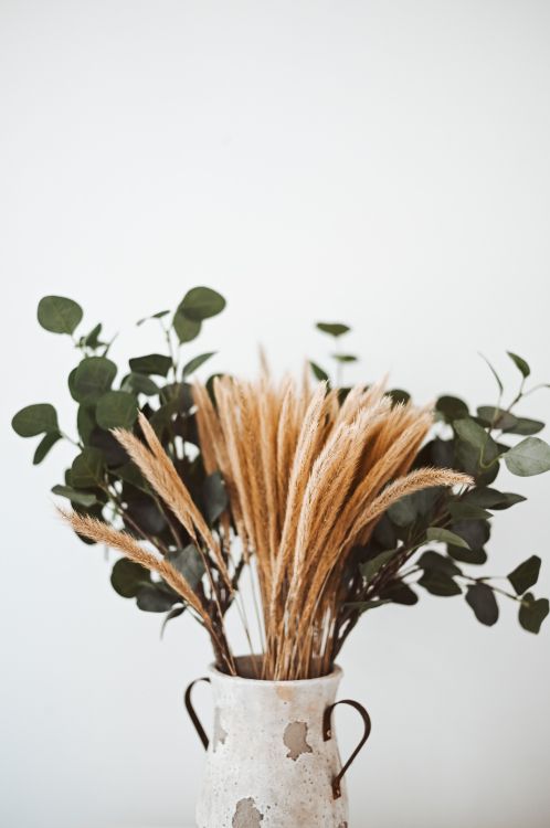 Brown and Green Plant on Brown Wicker Pot. Wallpaper in 3918x5889 Resolution