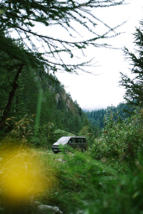 Image white car on green grass field during daytime