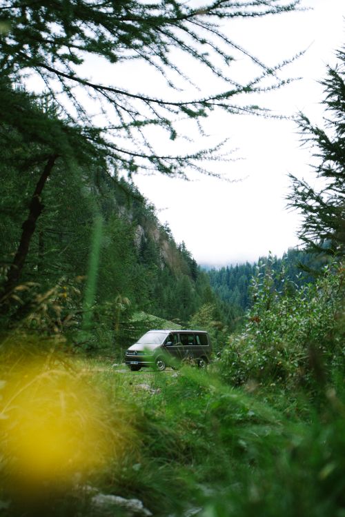 white car on green grass field during daytime