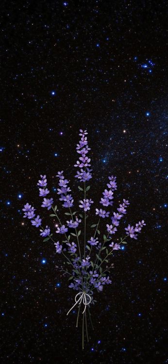 Geissorhiza, Utilisé, Créer, Blog, Idée. Wallpaper in 1720x3728 Resolution