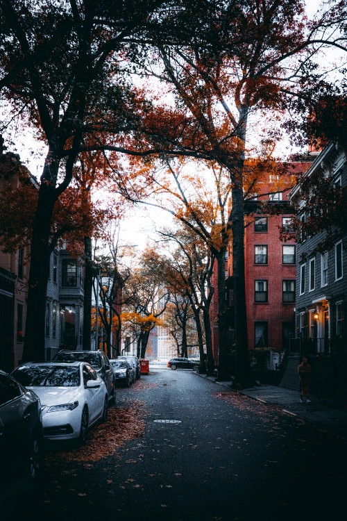 Image street, building, window, automotive lighting, road surface