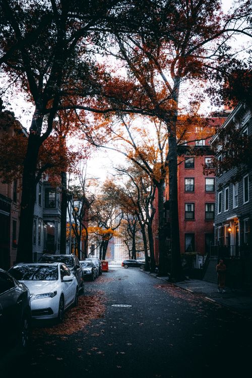 street, building, window, automotive lighting, road surface