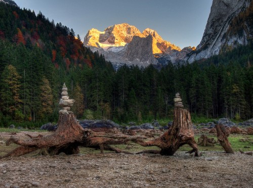 Image brown tree log on brown soil near green and brown trees and mountain during daytime