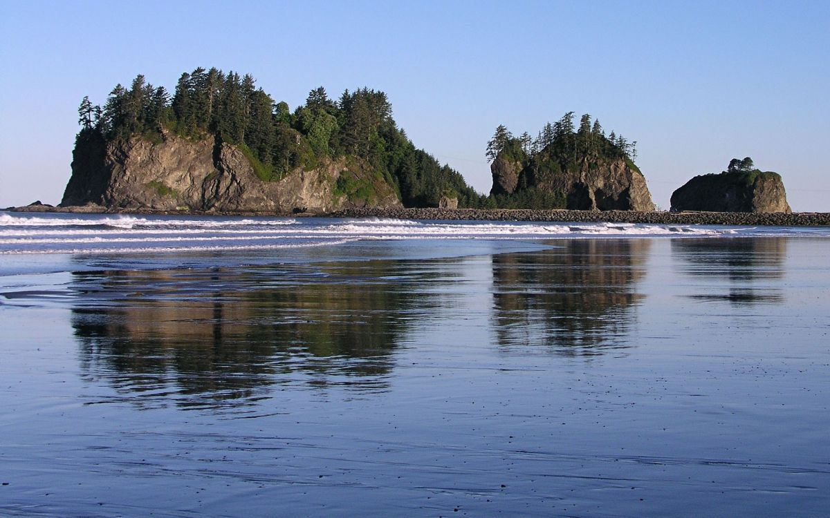 green trees on island surrounded by water during daytime