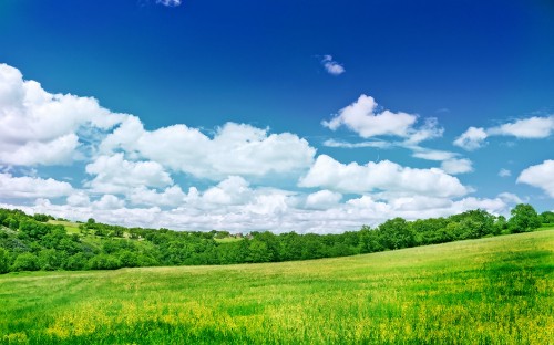 Image green grass field under blue sky and white clouds during daytime